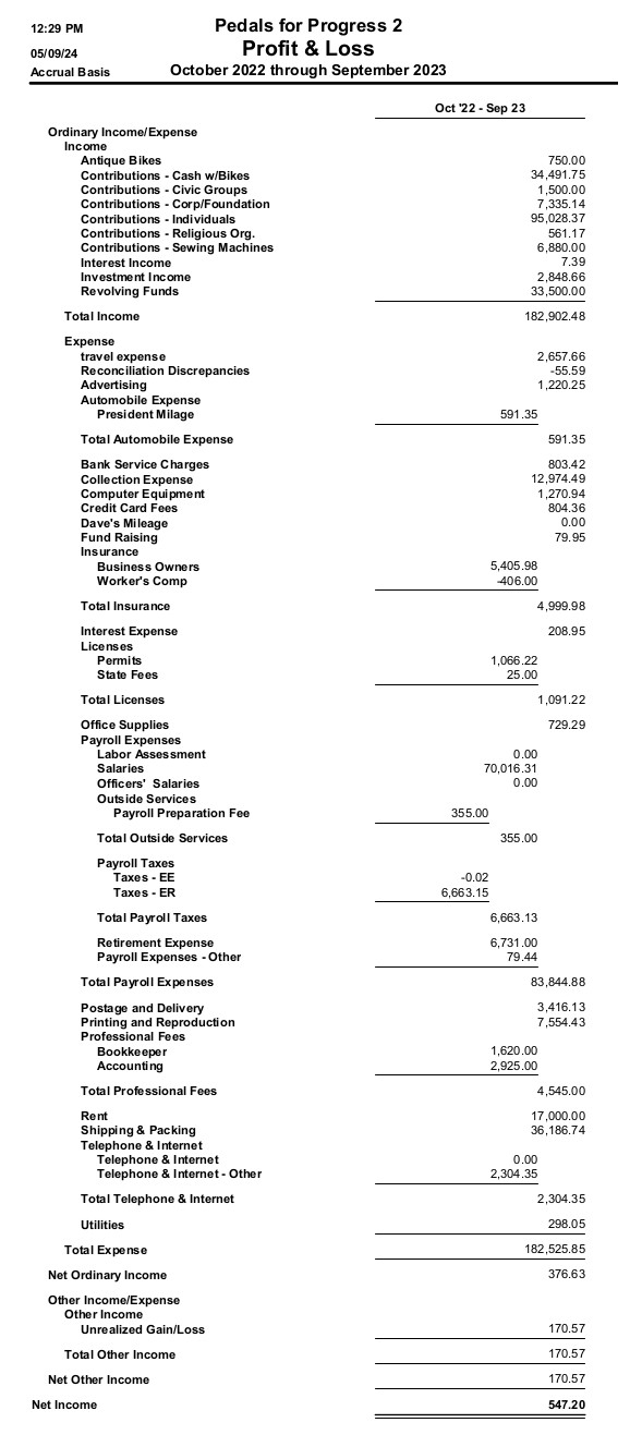 2023 profit and loss financial statement