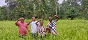 Rice Farm Sierra Leone