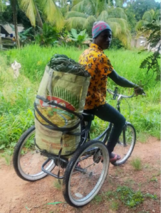 Kola Nut Farmer Alieu Sesay, SIerra Leone